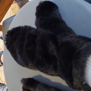 Faux fut mittens. Cozy and soft.‎ Completely lined. Very good used condition.